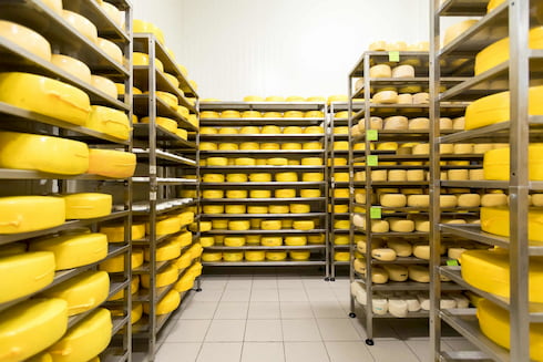 Ферма М2 Сыр