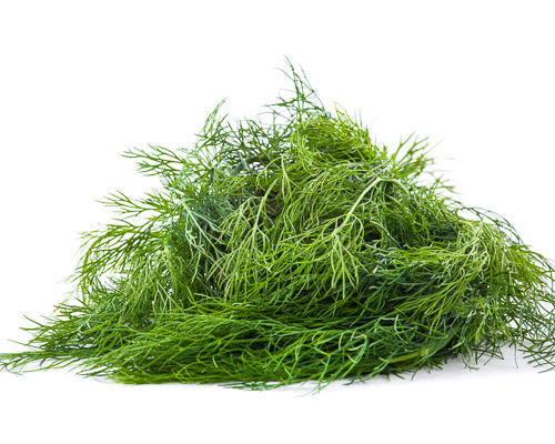 Укроп фермерский на развес