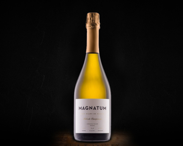 Magnatum Blanc de Blancs  вино игристое сухое белое брют, 0,75 л