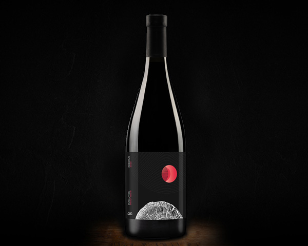 Evolution Reserve Pinot Noir, Aya Organic Wine вино сухое красное, 0,75 л