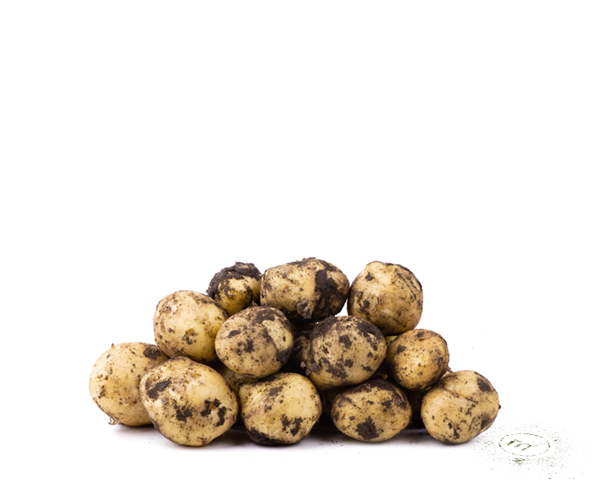 Картофель бейби М2 белый, из Ставрополя, на развес