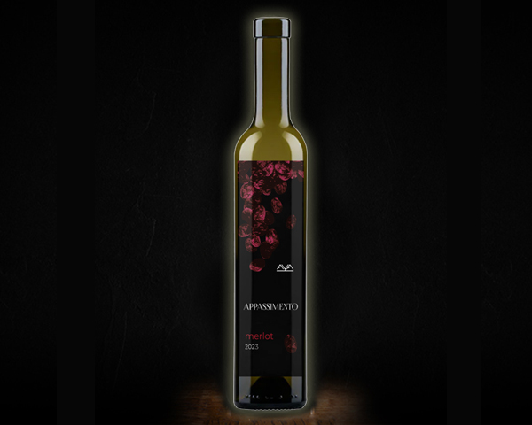 Appassimento merlot, Aya Organic Wine вино сухое красное, 0,75 л