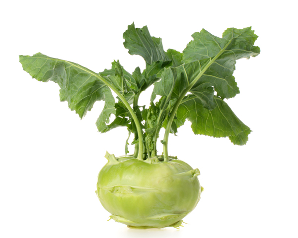 Кольраби молодая фермерская на развес