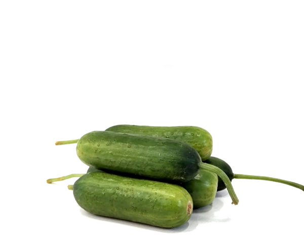 Огурцы гладкие бакинские, на развес