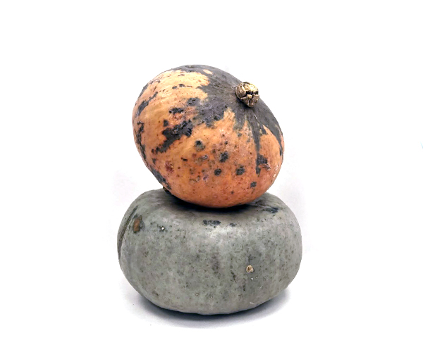 Тыква фермерская смесь сортов, на развес