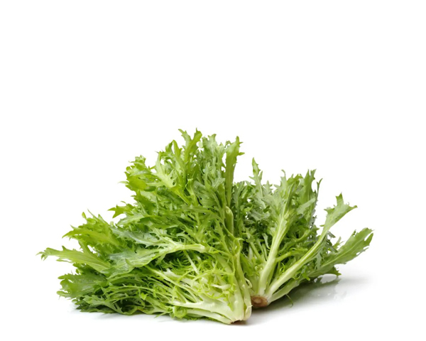 Салат листовой зеленый, 150 г