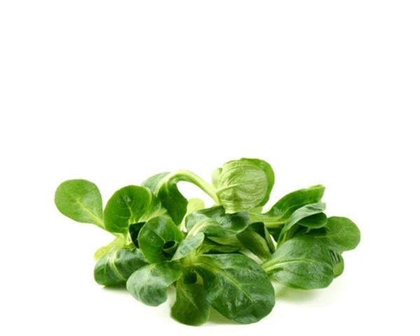 Салат корн 125 г