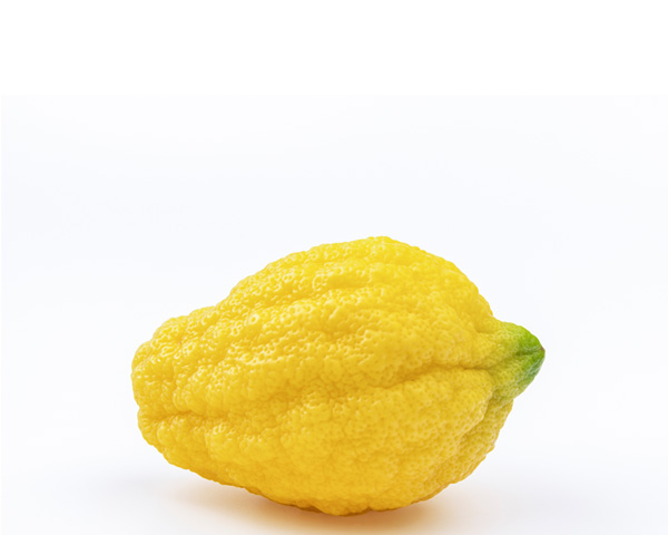 Цитрон на развес