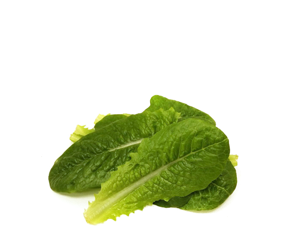 Салат Романо бэби лиф фермерский листья, 100 г