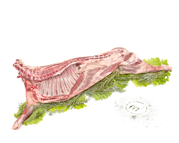 Полутуша барана породы дорпер, охлажденная