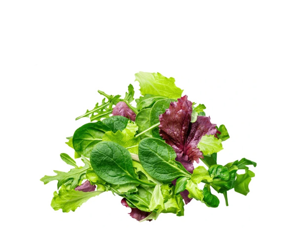 Микс бэби-салатов фермерский листовой, 50 г