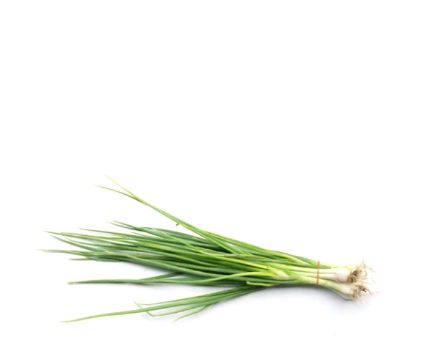 Лук-батун зеленый с корешками, на развес