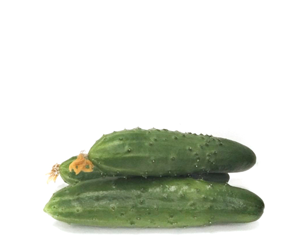 Огурцы среднеплодные, на развес