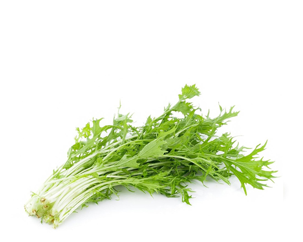 Мизуна фермерская на развес