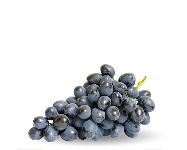 Виноград черный с косточками, на развес