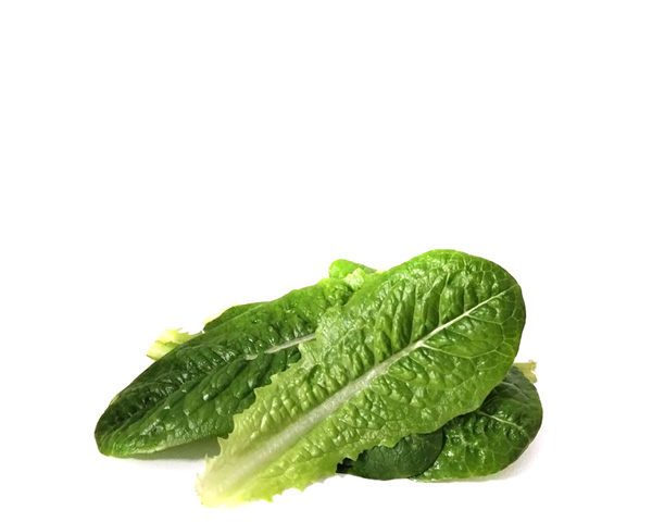 Салат Романо бэби лиф фермерский на развес