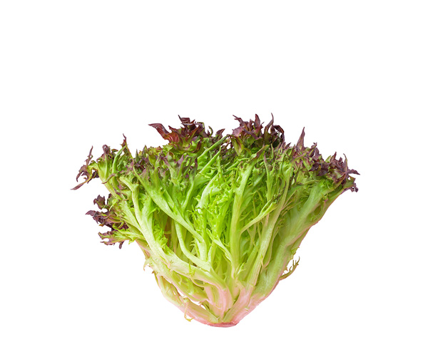 Салат Рэд крисп фермерский 200 г